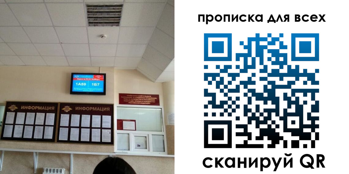 прописка в Димитровграде